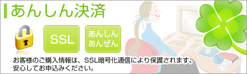 ギター初心者講座　あんしん決済　お客様のご購入情報はSSL暗号化通信により保護されます。安心してお申し込み下さい。　