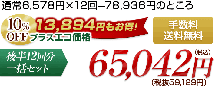 前半12回分一括セット 65042円