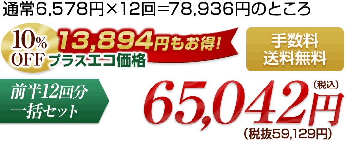 前半12回分一括セット 65042円